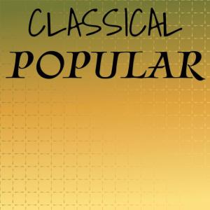 Various Artists的专辑Classical Popular