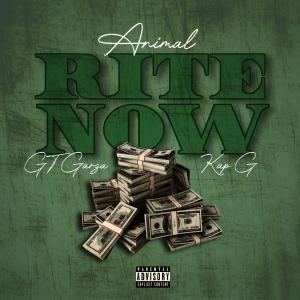 收聽Animal Dcccvi的RITE NOW (feat. Kap G & GT Garza) (Explicit)歌詞歌曲
