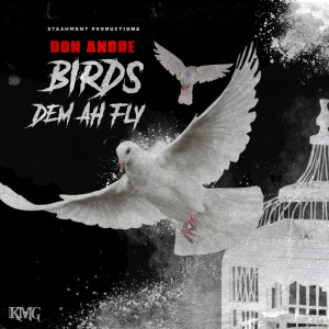 收聽Don Andre的Birds Dem Ah Fly歌詞歌曲