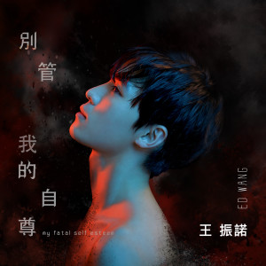 Album 别管我的自尊 from 王振祖