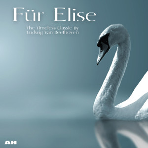 收听Fur Elise的A Little Night Music歌词歌曲