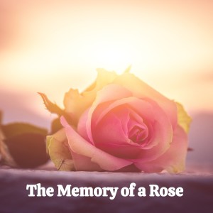 ดาวน์โหลดและฟังเพลง The Mem'ry of a Rose พร้อมเนื้อเพลงจาก Vera Lynn