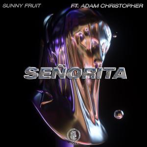 Señorita (feat. Adam Christopher) dari Adam Christopher