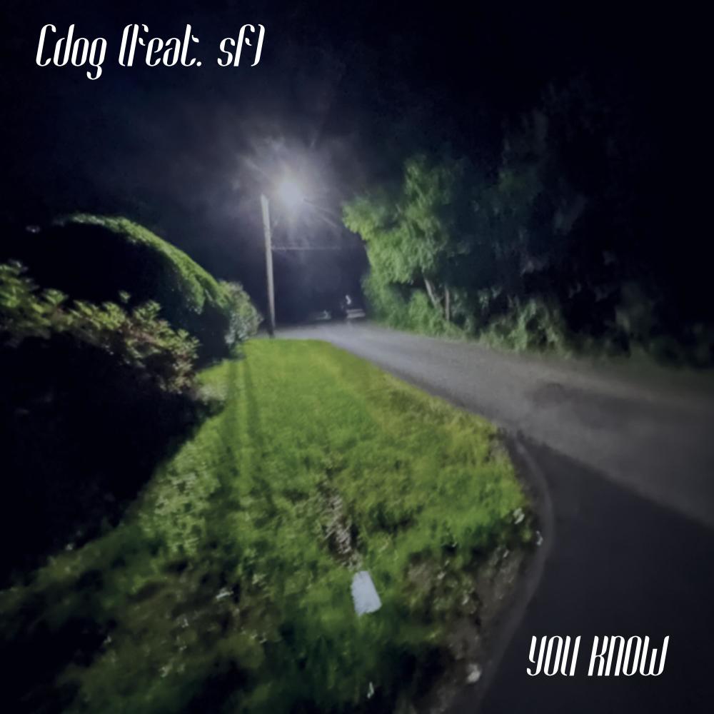 You Know (feat. sf) (Explicit)