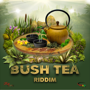 Lavaman的專輯Bush Tea Riddim