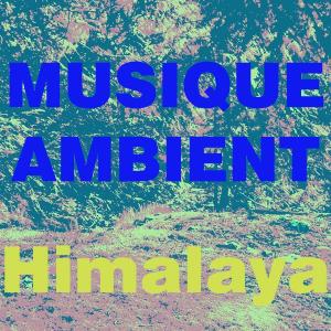 Album Musique Ambient oleh Himalaya