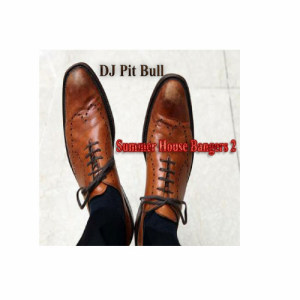 收聽DJ Pit Bull的Summer Mix and Blends歌詞歌曲