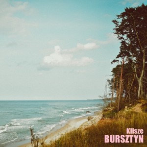 Album Bursztyn from The Wall