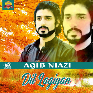 Listen to Dil Lagiyan song with lyrics from Aqib Niazi