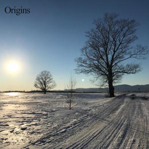 อัลบัม Origins ศิลปิน Origins