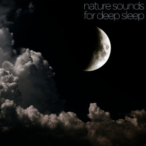 Deep Sleep的專輯Nature Sounds for Deep Sleep