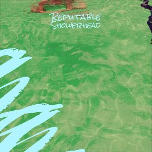 Various的专辑Reputable Showerhead