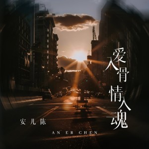 Album 爱入骨情入魂 from 安儿陈