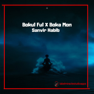Listen to Bokul Ful / Boka Mon song with lyrics from Sanvir Habib