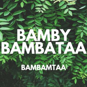 Bamby Bambataa的专辑Bambamtaa