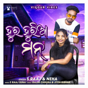 ดาวน์โหลดและฟังเพลง Hur Huria Mann (Sambalpuri Song) พร้อมเนื้อเพลงจาก S Raaj Suna