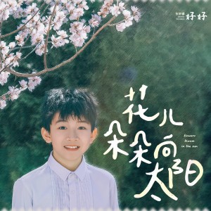 Album 花儿朵朵向太阳 from 优秀少年好好