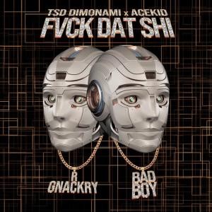 收聽Acekid的FVCK DAT SHI (feat. TSD DIMONAMI) (Explicit)歌詞歌曲