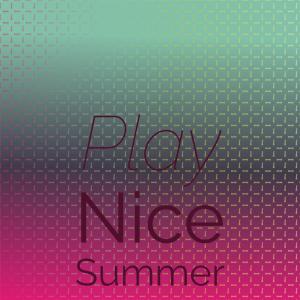 Album Play Nice Summer from Various