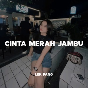 Listen to Cinta Merah Jambu song with lyrics from LEK PANG