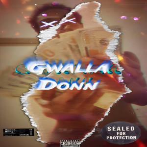 Listen to Gng Bidness (Explicit) song with lyrics from Gwalla Donn