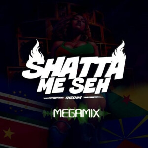 Dj Style的专辑Shatta Me Seh Riddim Megamix