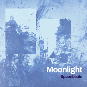Album Moonlight from SpoonBeats