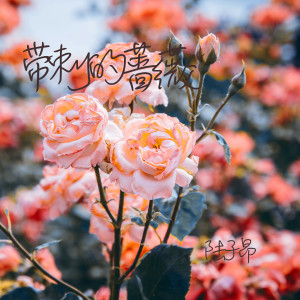 Album 带刺的蔷薇 oleh 陆子昂