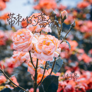 Dengarkan 带刺的蔷薇 lagu dari 陆子昂 dengan lirik