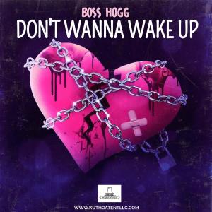 Boss Hogg的專輯Don't Wanna Wake Up