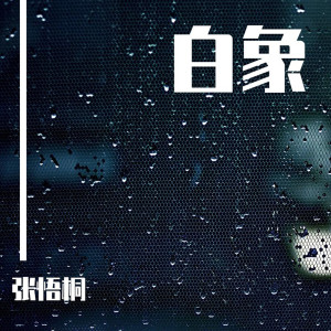 收聽張悟桐的忘了沒有歌詞歌曲
