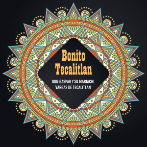 收聽Don Gaspar Y Su Mariachi Vargas De Tecalitlan的El Camino de la Noche歌詞歌曲