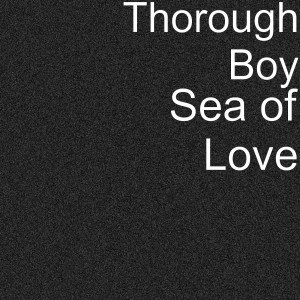 收聽Thorough Boy的Sea of Love歌詞歌曲