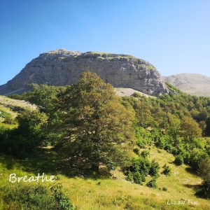 ดาวน์โหลดและฟังเพลง Breathe พร้อมเนื้อเพลงจาก Lizzy Fix