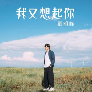 Album Wo You Xiang Qi Ni from 刘明峰