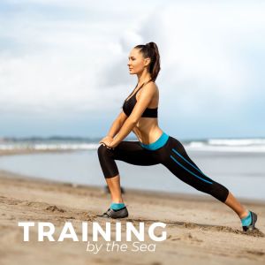 Album Training by the Sea from Various