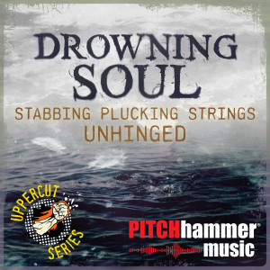 Pitch Hammer的專輯Drowning Soul