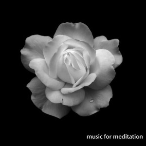 ดาวน์โหลดและฟังเพลง Reading the Leaves by Moonlight (Falling You) พร้อมเนื้อเพลงจาก Magnatune Compilation