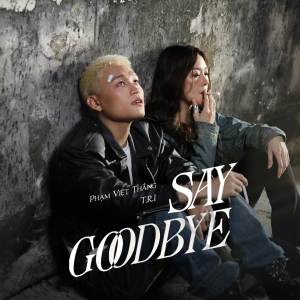 Album Say Goodbye from Phạm Việt Thắng