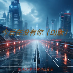 BLACK李不黑的专辑今后没有你（DJ版）