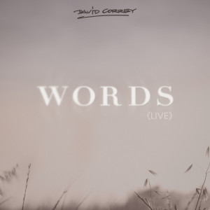 Words (Live) dari David Correy