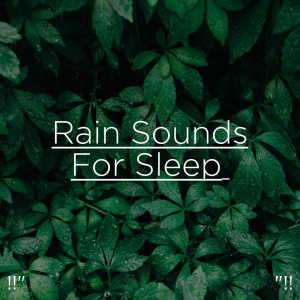 ดาวน์โหลดและฟังเพลง Calm Anxiety Sounds พร้อมเนื้อเพลงจาก Rain Sounds