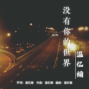 Listen to 没有你的世界 (完整版) song with lyrics from 温忆楠
