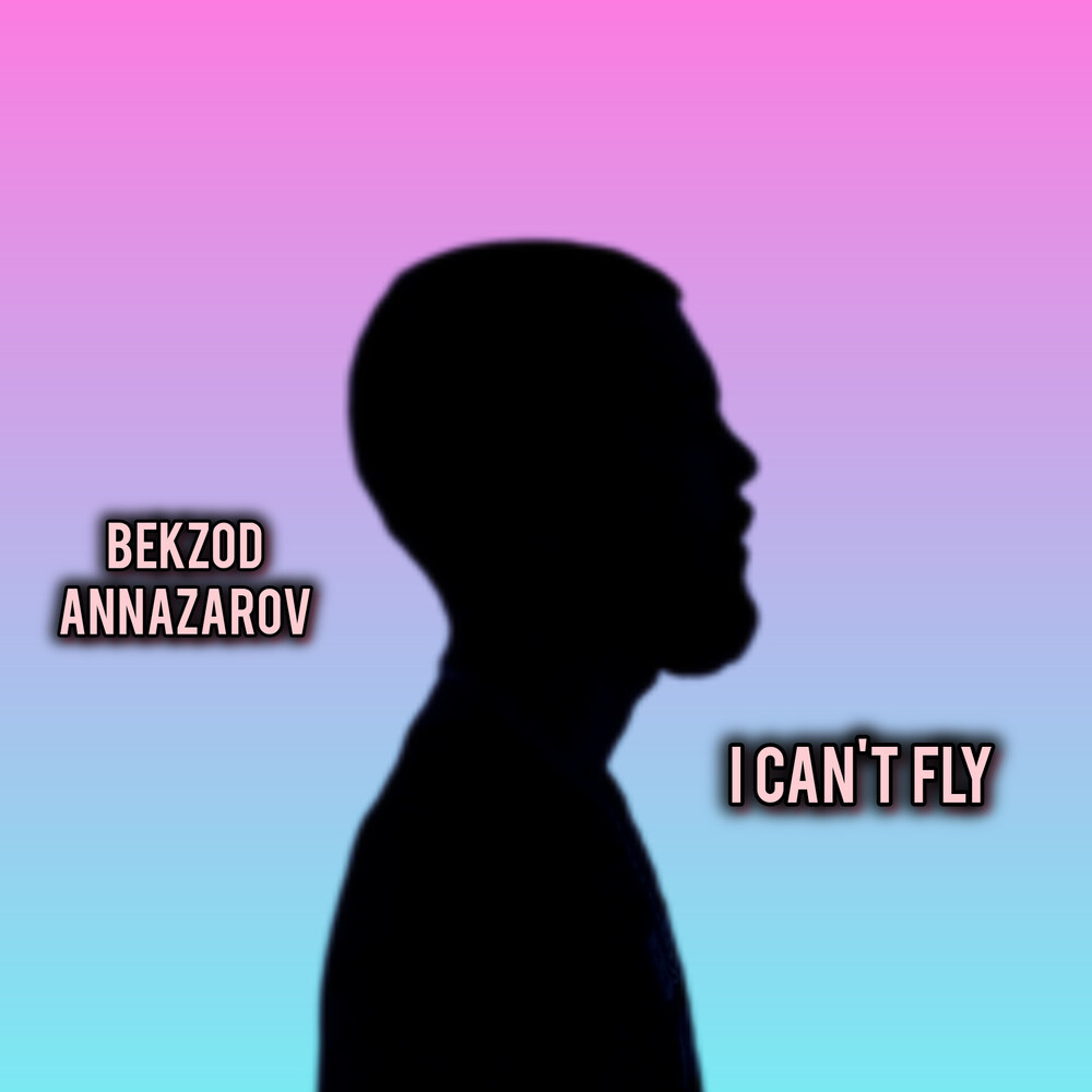 I can't fly