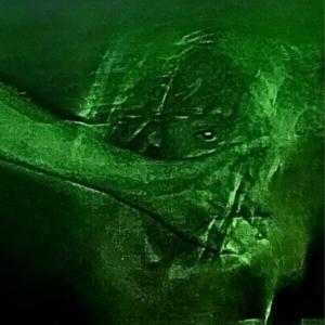 swgr的專輯cartel (Explicit)