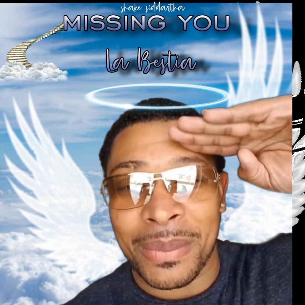 Missing you (La Bestia) (feat. Jay Sky)