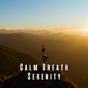 Calm Breath Serenity: Lofi Ambience for Yoga