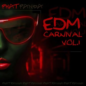 Listen to A Place I Need to Show U (Epic Pop Mix) song with lyrics from DJ Luciano