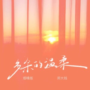 郑大钱的专辑多余的温柔(烟嗓版)
