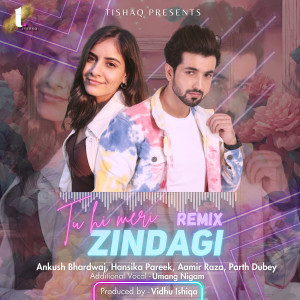 อัลบัม Tu Hi Meri Zindagi (Remix) ศิลปิน Ankush Bhardwaj